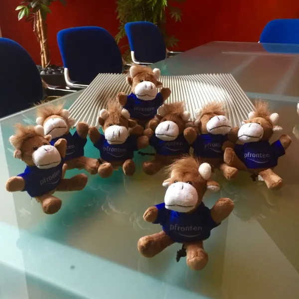 Produktbild von Allgäuer Braunkuh mit kuscheligem Kopfhaar - Plüsch-Schlüsselanhänger mit Logo