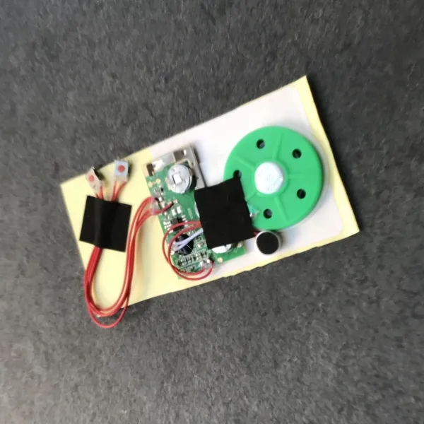Produktbild von Audiomodul für Objekte/Kartonagen zur Tonaufnahme und -wiedergabe mit Start-/Stopptasten für Aufnahme und Abspielung.
