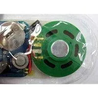 Audiomodule für Klappkarten und Kartonagen von Soundmodulherstellern, passend für Druckereien, Verlage und papierverarbeitende Betriebe; Auslösefunktionen: Zuglasche, Lichtsensor, Bewegungssensor. (17)