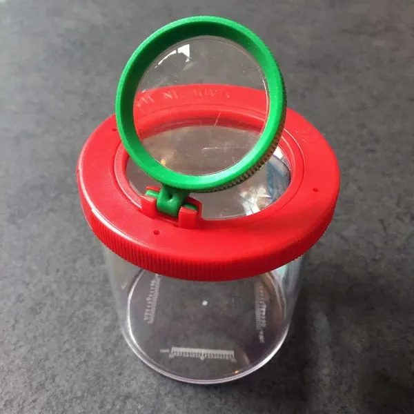 Lupendose Käferdose Becherlupe Insektenbetrachter mit 2- und 4-facher Vergrößerung, 60mm Breite, 80mm Höhe, Belüftungsöffnungen, mm-Skala für Kleintiere und Pflanzen. (2)