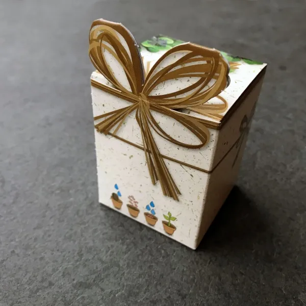 Pflanz-Würfelchen Glücksklee im Terracotta-Topf mit Kokos-Quelltablette und Glückskleezwiebelchen als nachhaltiger Werbeartikel für Naturfreunde. (3)