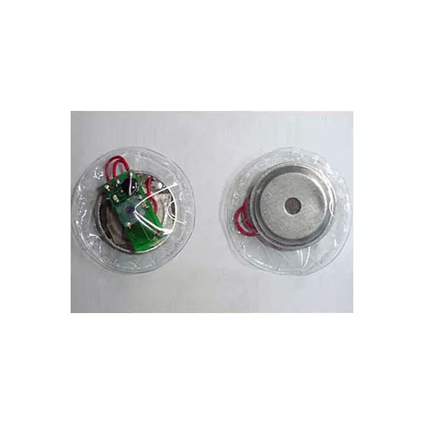 Soundmodule für vielfältige Anwendungen: individuelle Herstellung, verschiedene Auslösefunktionen wie Zuglasche, Druckknopf oder Sensorik, Sonderanfertigungen für Druckereien/Verlage etc., preiswert und qualitativ hochwertig. (5)