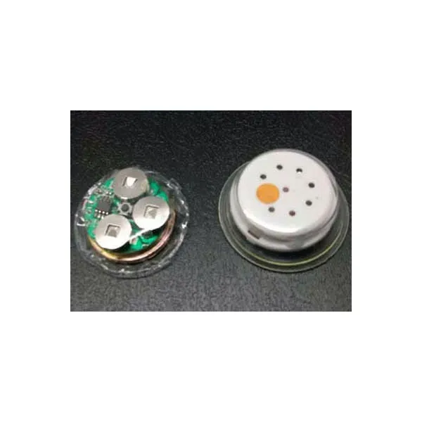 Soundmodule: Bespielte, preiswerte Audio-Module für Klappkarten, Kartonagen und weitere Anwendungen. (15)
